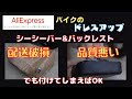Aliexpressで車をバイクをカスタムしよう。シーシーバー（バックレスト、背もたれ）をBMW R18に取り付けてみましたNo0050