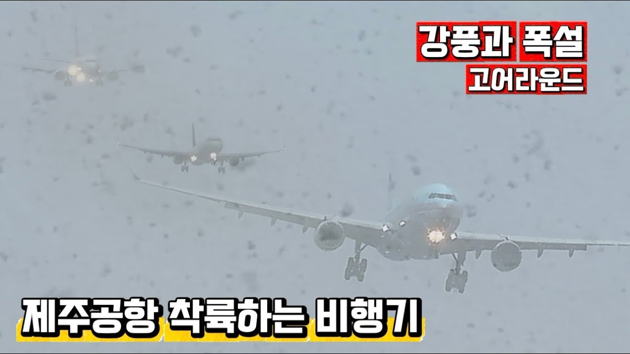 알수없는 제주날씨! 강풍과 폭설에 맞서는 비행기들✈️