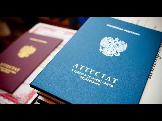 образование грин-карты