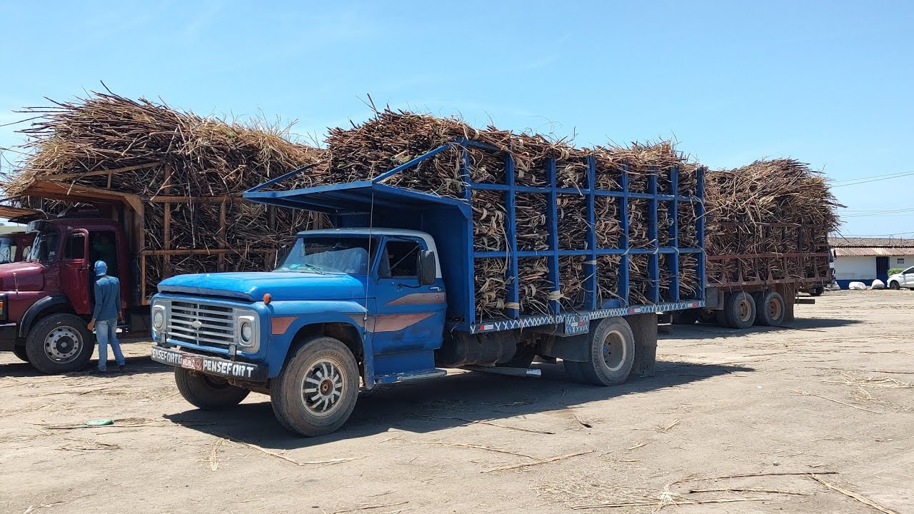 LOTADO DE CANAVIEIROS NA ESPANADA DA USINA CAMARAGIBE MOVIMENTAÇÃO NO 12 !!