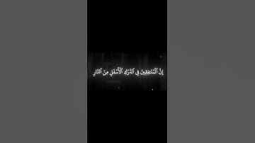 سورة النساء الاية 144 | القارئ محمد اللحيدان🤍🖤