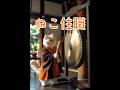 【#ねこ住職 第91話 君の強みを知るんだゆ！な！？】