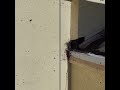 🏠 Roofer Life: Expect the Unexpected! 🐝