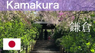 1 Day Trip Idea from Tokyo - KAMAKURA. How to get there, What you can expect in Kamakura.