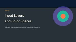 Module Input Layers and Color Spaces