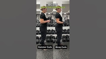 Bicep Curls vs Hammer Curls💪🏽2 variations that are SIMILAR but focus on building different parts
