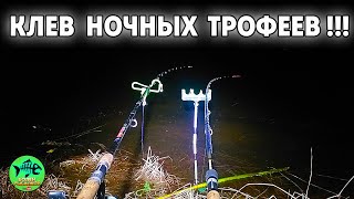 видео: НЕРВНЫМ ЛУЧШЕ НЕ СМОТРЕТЬ. ЛОВЛЯ ЛЕЩА и СУДАКА ОСЕНЬЮ.НОЧНАЯ РЫБАЛКА НА ФИДЕР 2022 . Болен рыбалкой. картинка: НЕРВНЫМ ЛУЧШЕ НЕ СМОТРЕТЬ. ЛОВЛЯ ЛЕЩА и СУДАКА ОСЕНЬЮ.НОЧНАЯ РЫБАЛКА НА ФИДЕР 2022 . Болен рыбалкой.