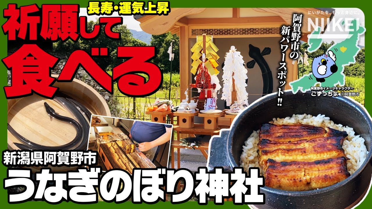 【うなぎのぼり神社】運気もお腹も満腹！？運気上昇・長寿を祈願して食べれる新潟県阿賀野市の新パワースポットを紹介！（瓦テラス）【阿賀野市のイメージキャラクターごずっちょ】