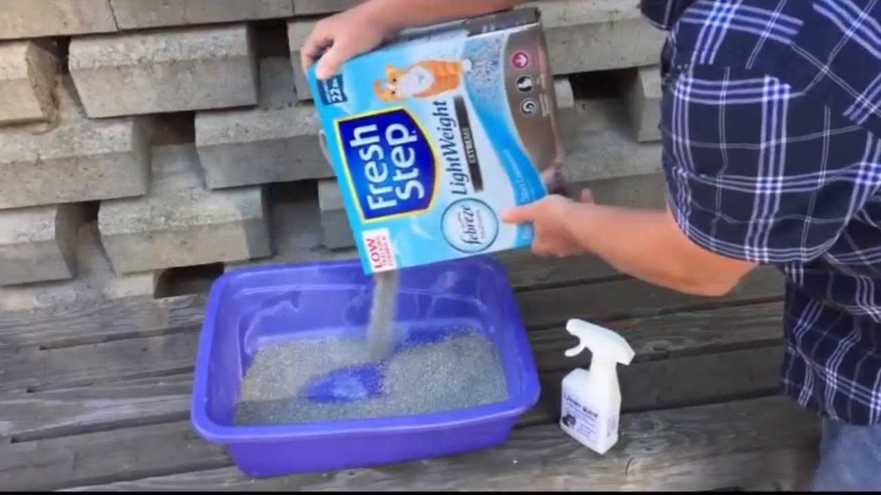 How to Apply Litter Care 