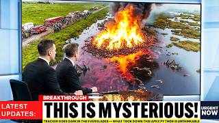 Tracker Goes Dark in the Everglades — What Took Down This Apex Python Is Unthinkable