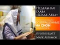 Недельная глава &quot;Шлах Леха&quot; - проповедует Марк Абрамов