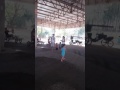 Triciclo Kau, Kaka, Duda Parque Maeda
