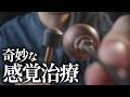 顔の触覚に遅れがあるので直します ロールプレイ【ASMR】