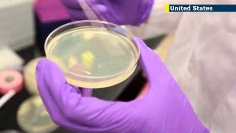 Scientists move step closer to creating artificial life with creation of artificial yeast chromosome