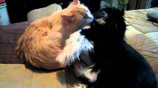 MVI_3855.AVI