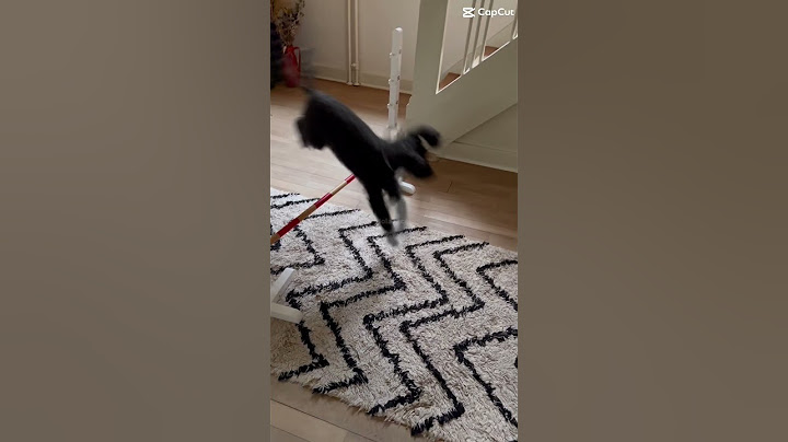 She actually jumped 30cm😻