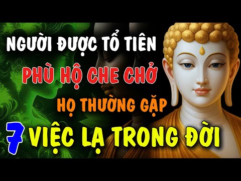 NGƯỜI ĐƯỢC TỔ TIÊN PHÙ HỘ CHE CHỞ - HỌ THƯỜNG GẶP 7 VIỆC LẠ TRONG ĐỜI | Đóa Hoa Thiện Lành