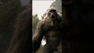 Chased by Bigfoot #bigfoot