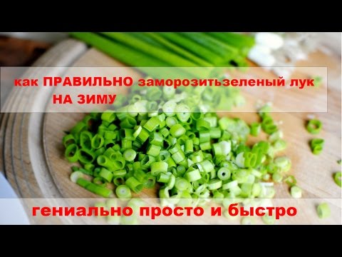 Как правильно заморозить зеленый лук на зиму  легко и быстро. how to freeze green onions