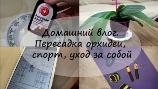 Домашний влог. Пересадка орхидеи, спорт, уход за собой(Добро пожаловать на мой канал! Если вам интересны видео о жизни в Стамбуле, подписывайтесь. Обещаю баловать..., 2014-10-24T09:00:01.000Z)