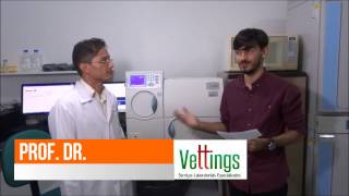 * Entrevista Prof. Dr. Isaac Neto - VITEK 2 *