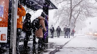 A TYPICAL SNOWY DAY IN REGINA, SASKATCHEWAN, CANADA ❄  7 ☃