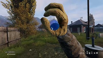 DayZ friendly encounter Official