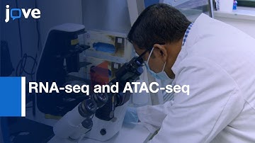 Nuclei Isolation from Brain tumors for RNA-seq and ATAC-seq | Protocol Preview