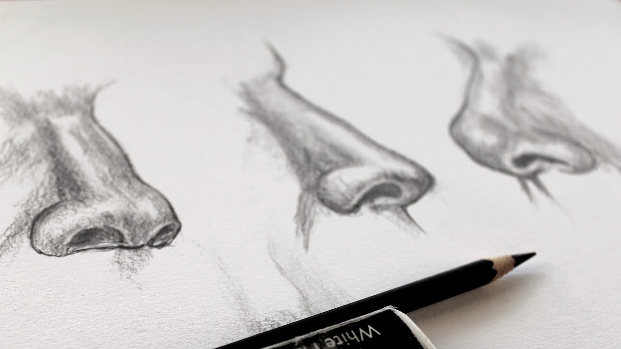 Featured image of post Nose Drawing Reference 3 4 This particular body part is simple to sketch but it has distinctive qualities that can make it a challenge to get just right