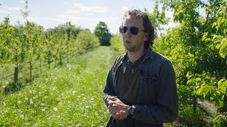 #OrganicDelivers | Teaser #2 to Episode 1 - Innovation in plant protection: Organic breeding