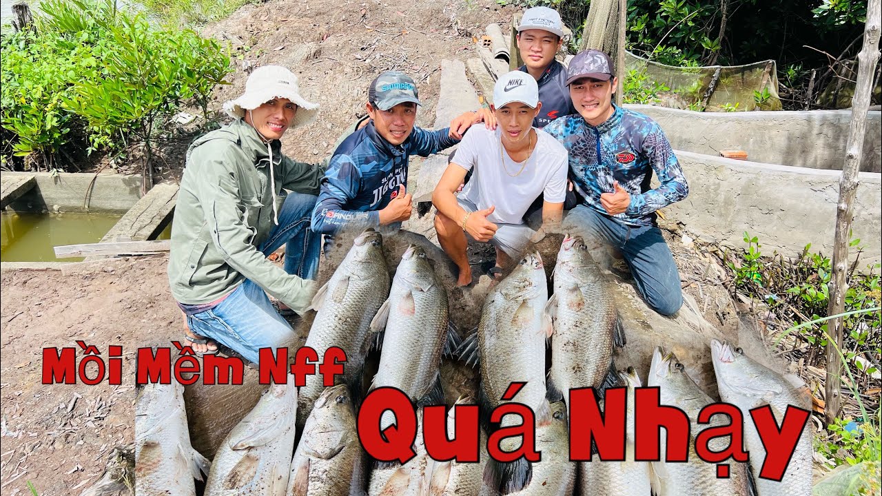 Câu cá chẽm thiên nhiên Năm Căn | lên chẽm bằng mồi mềm Nff