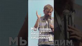Как связаны ледниковый период и размер мозга человека? Антрополог Станислав Дробышевский
