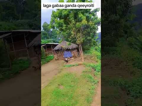 Baadiyya Biyya Koo Ganda Dhaloota Koo Ganda Qeeyroo