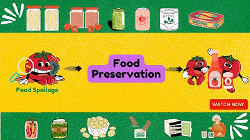 Food Preservation | 5 Food Preservation Methods You Should Know | Techno Food