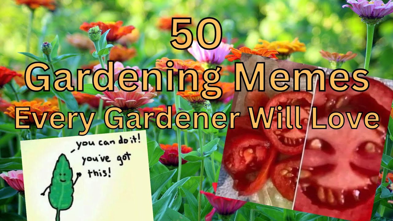 50 Fantastic Garden Memes Every