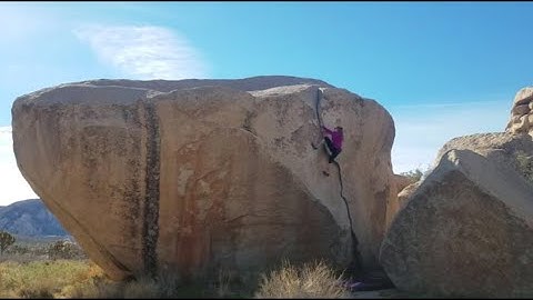 False Up 20**** (5.9 PG13) Flash - Joshua Tree