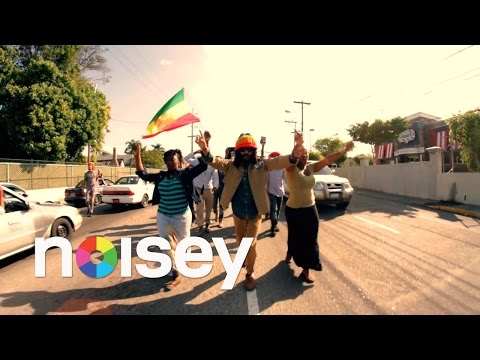 美品！人気レゲエ！protoje / take control PROTOJE - TAKE CONTROL ( THE MESSAGE RIDDIM ) - REGGAE - YouTube