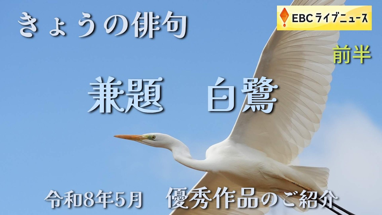 きょうの俳句<令和8年5月放送> 兼題「白鷺」(前半)