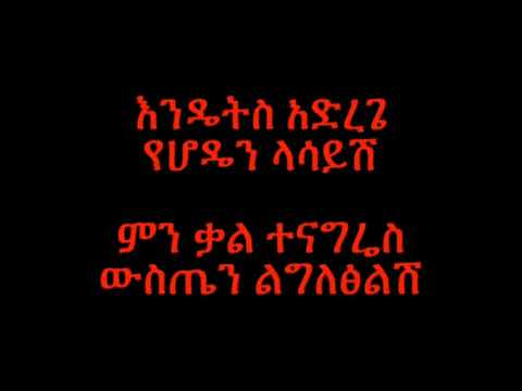 Dawit Tsige Betam New Ethiopian Music Lyric Video