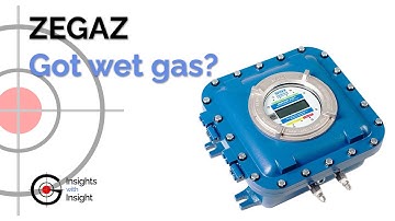 Insights with Insight - ZEGAZ