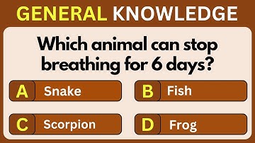 Think You’re Smart? Try This 40 -Question General Knowledge Trivia Challenge! 🔥🧠