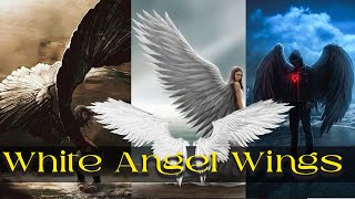White Angel Wings Overlays Pack Download In JPG Files |English| |Photoshop Tutorial|