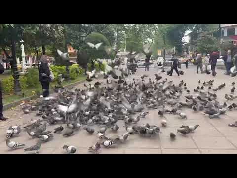 سبزه میدان رشت