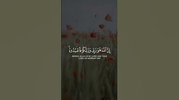 #قرآن - القارئ عبد الله موسى