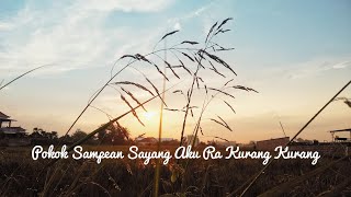 Esa Risty ft. James AP | 'Pokok Sampean Sayang Aku Ra Kurang Kurang' | Lirik