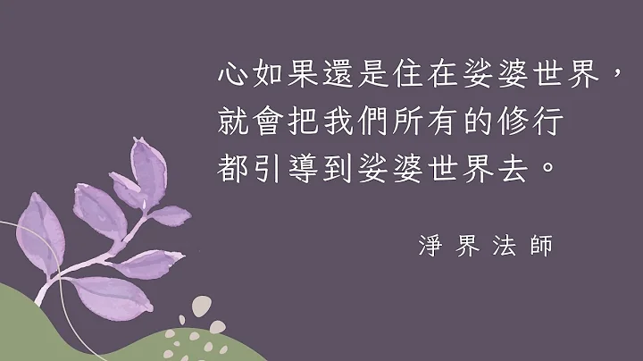 心如果還是住在娑婆世界，就會把我們 所有的修行都引導到娑婆世界去。 #淨界法師 #正見基礎 - 天天要聞