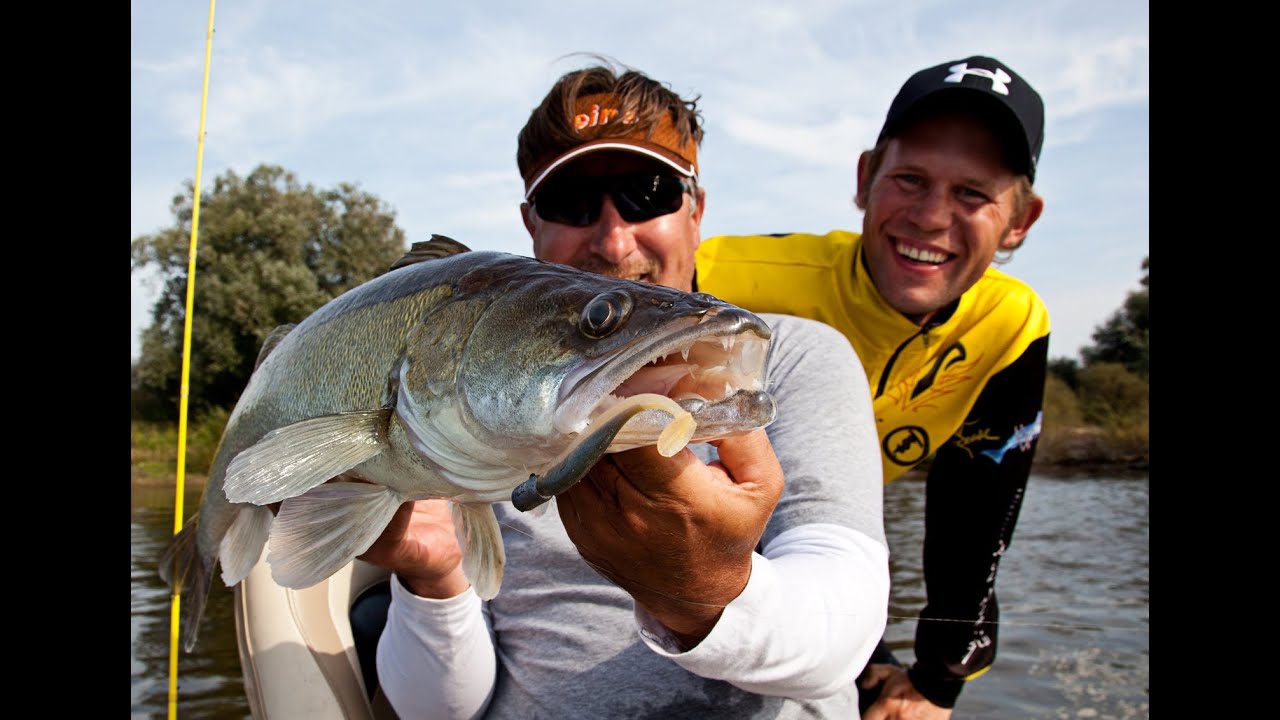 Vertikalangeln im Sommer - Auf der Elbe mit Stephan Gockel und Sven Halletz