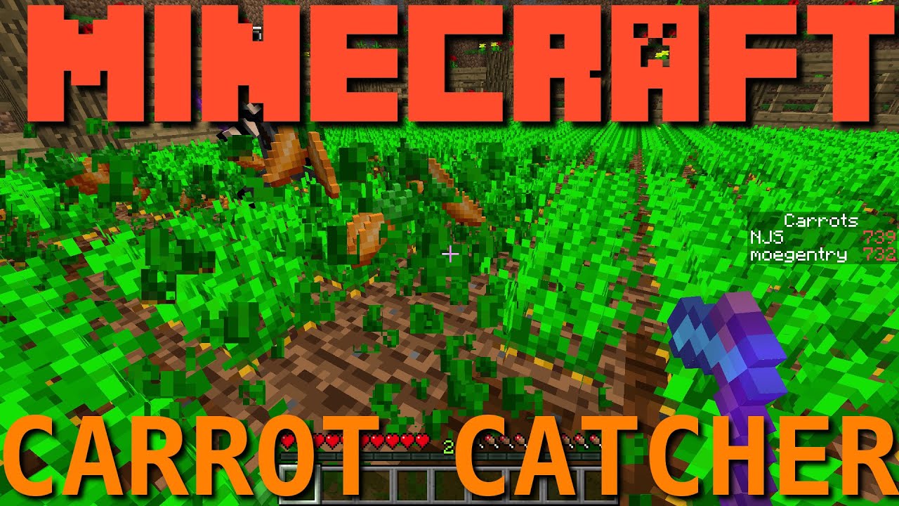 Greg and Nick Play Minecraft - Carrot Catcher (Mini-Game) - YouTube