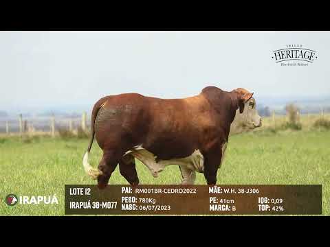 LOTE 12   IRAPUÁ 38 M077