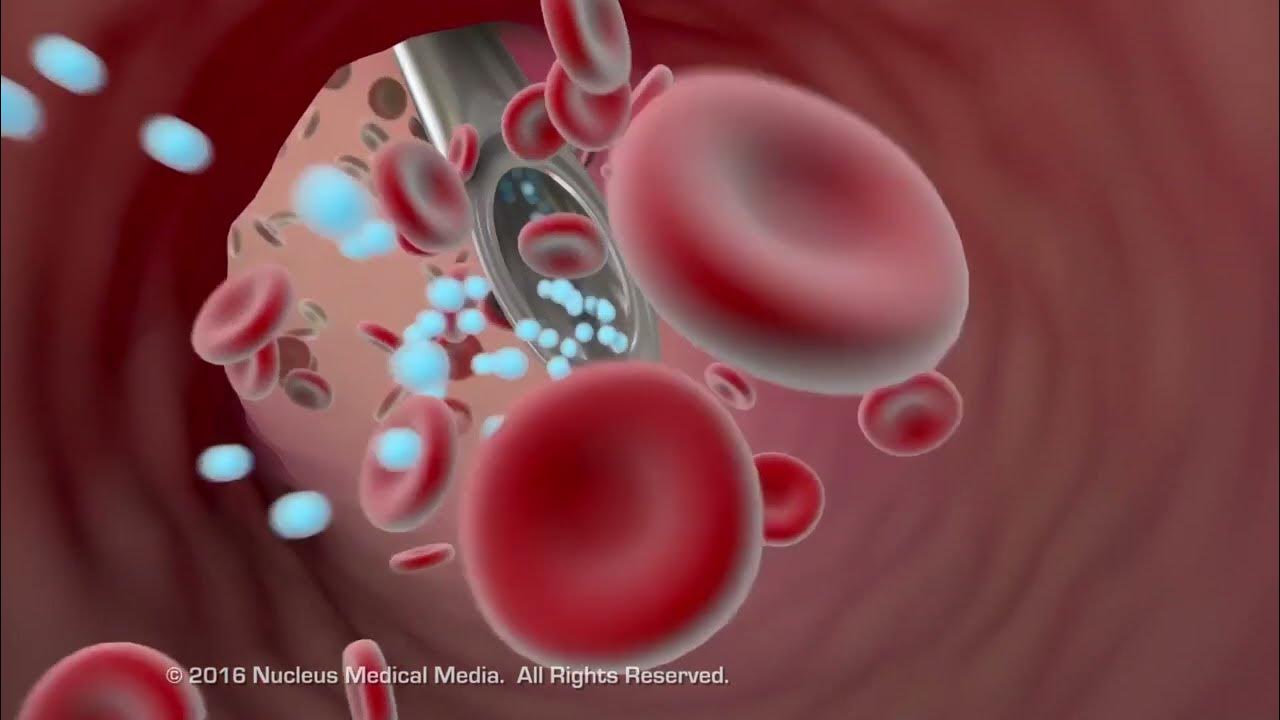 How Medications Get Absorbed By Your Body YouTube